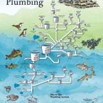Col River Plumbing poster